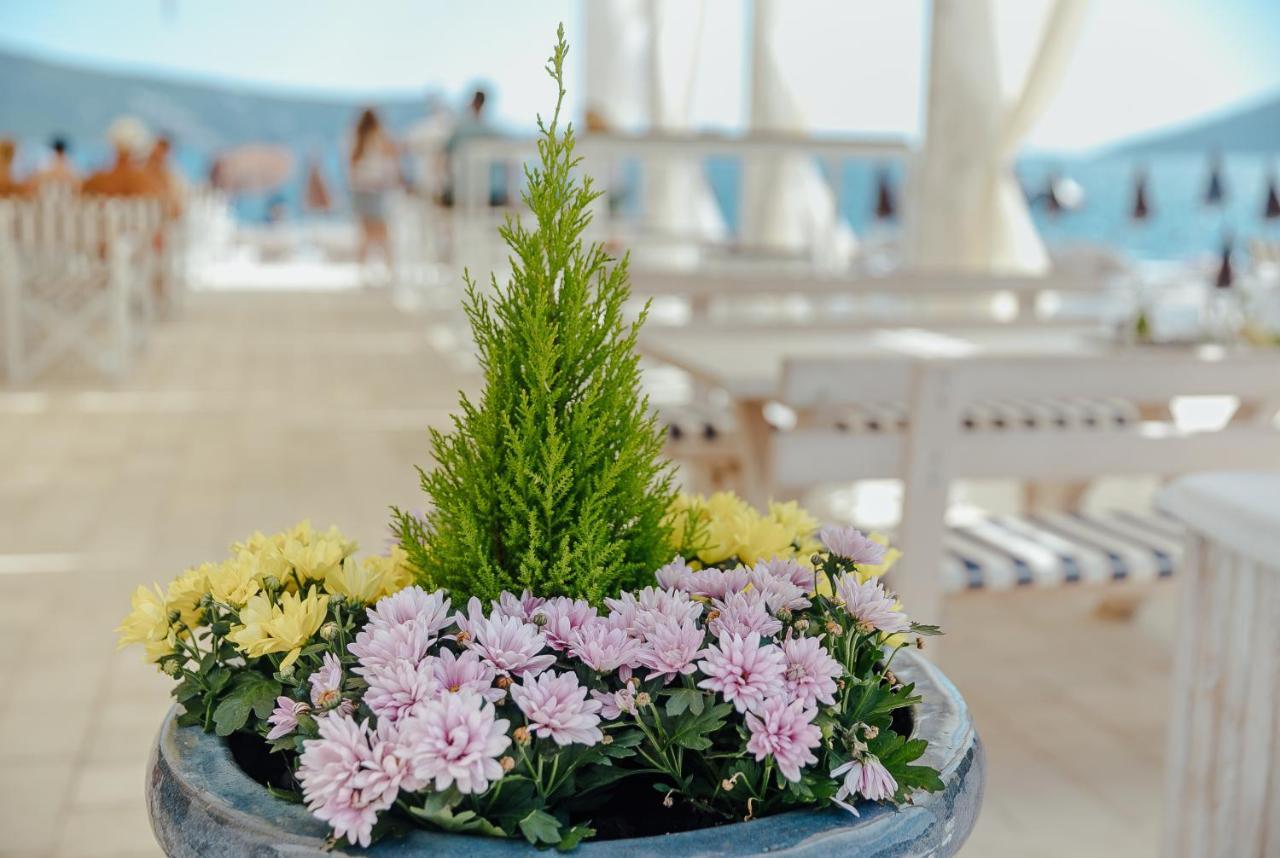 Apartmani Laban Херцег Нови Екстериор снимка
